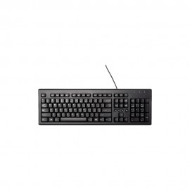 Teclado Usb HP 100 Preto 2UN30AA HP